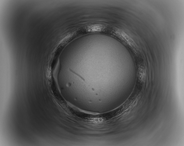 X0000097860543200803211256