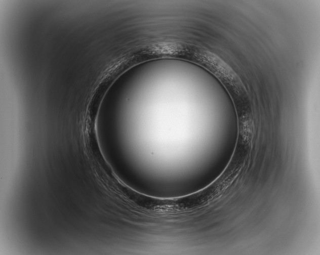 X0000097860544200803211256