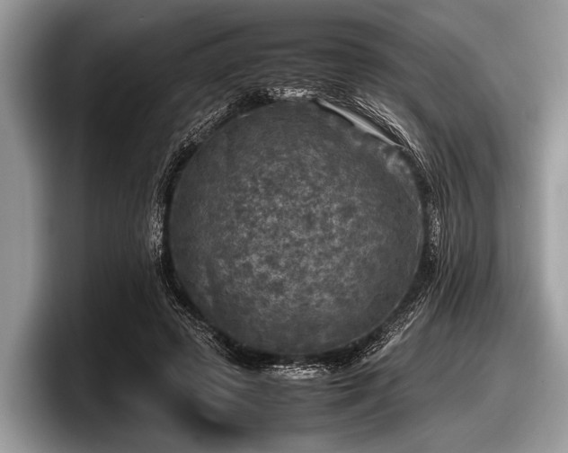 X0000097860545200803211256