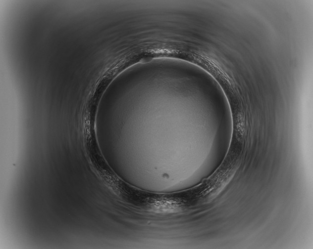 X0000097860547200803211256