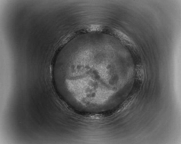 X0000097860550200803211256