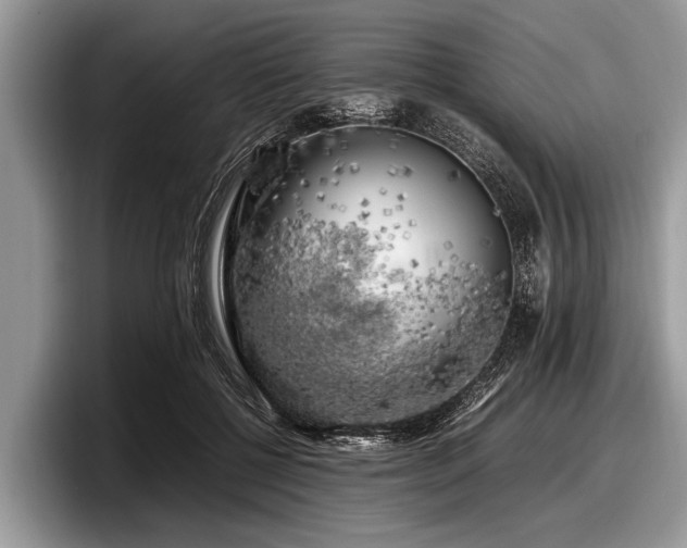 X0000097860552200803211256