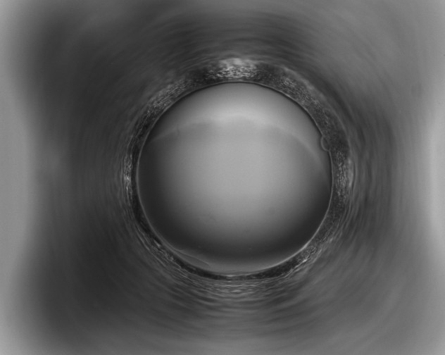 X0000097860553200803211256