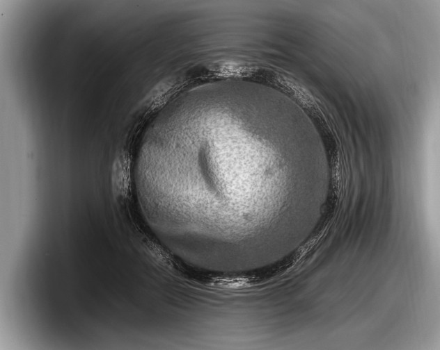 X0000097860554200803211256