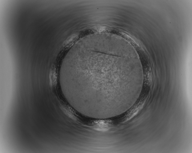 X0000097860558200803211256