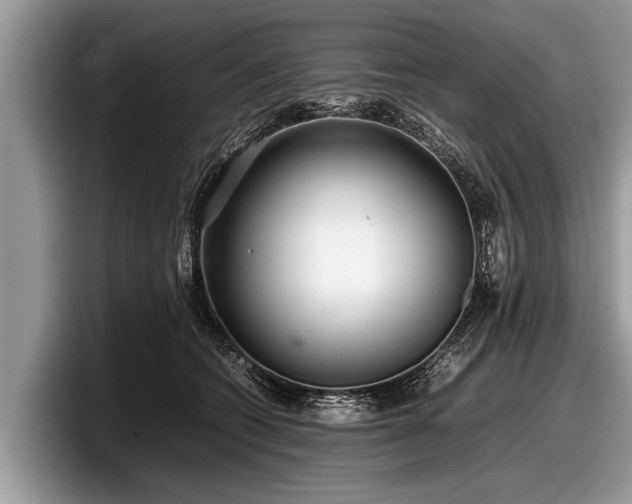 X0000097860562200803211256