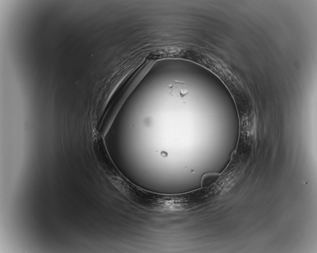 X0000097860564200803211256