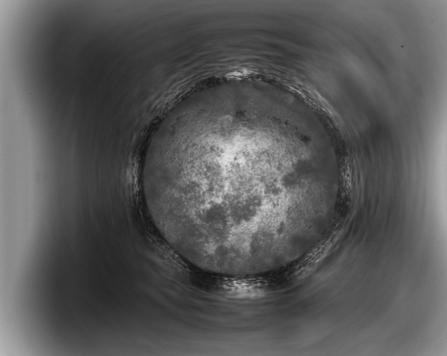 X0000097860565200803211256