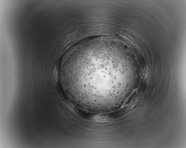 X0000097860568200803211256