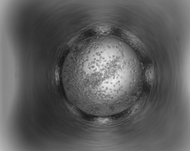X0000097860570200803211256