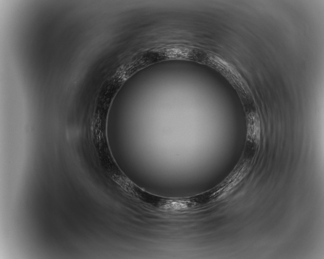 X0000097860573200803211257