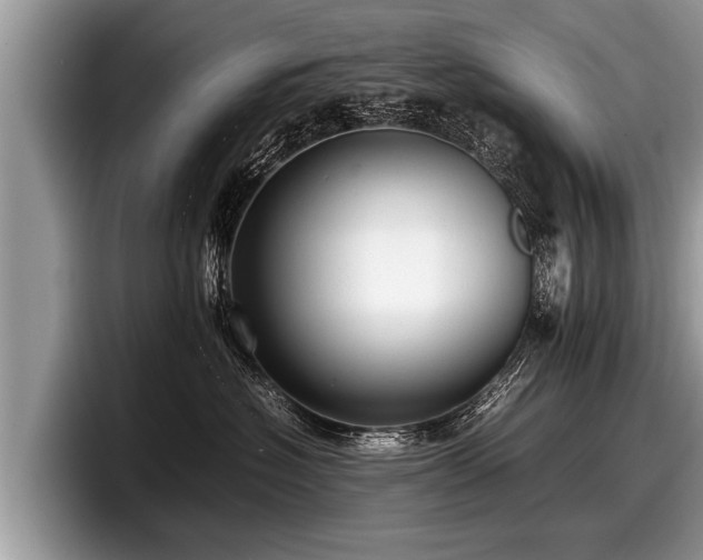 X0000097860574200803211257