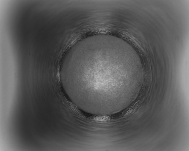 X0000097860576200803211257