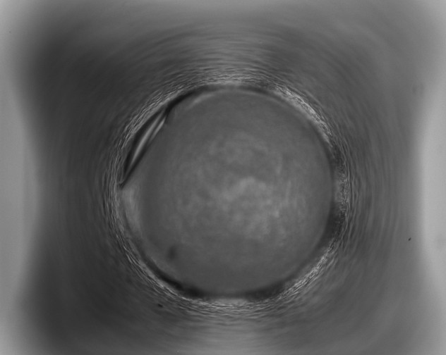 X0000097860577200803211256