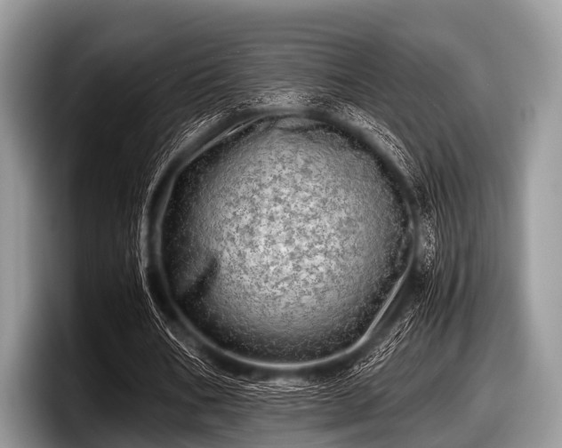 X0000097860578200803211256