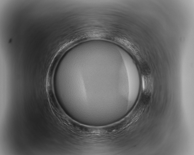 X0000097860579200803211256