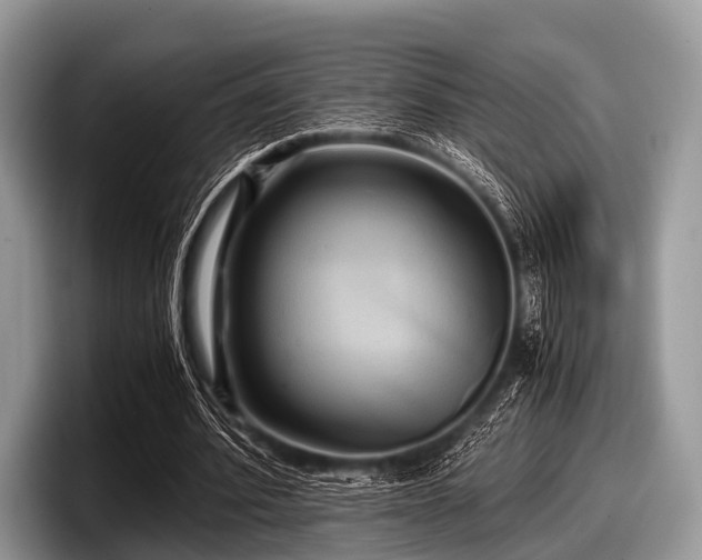 X0000097860580200803211256