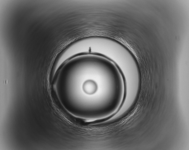 X0000097860581200803211256