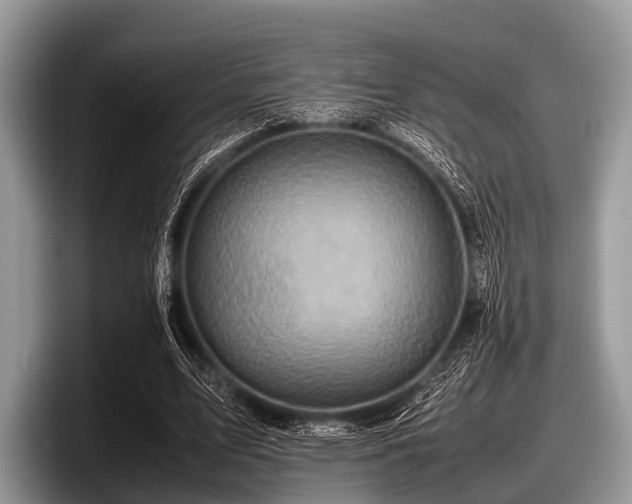 X0000097860583200803211256