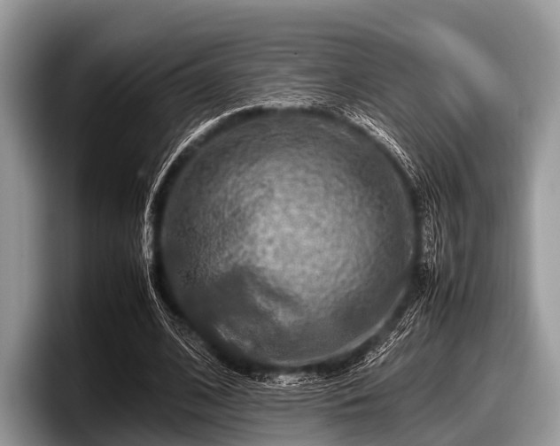 X0000097860584200803211256