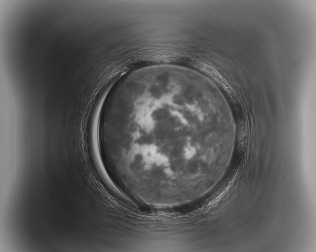 X0000097860585200803211256