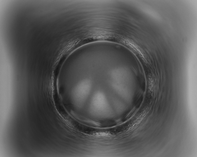 X0000097860586200803211256