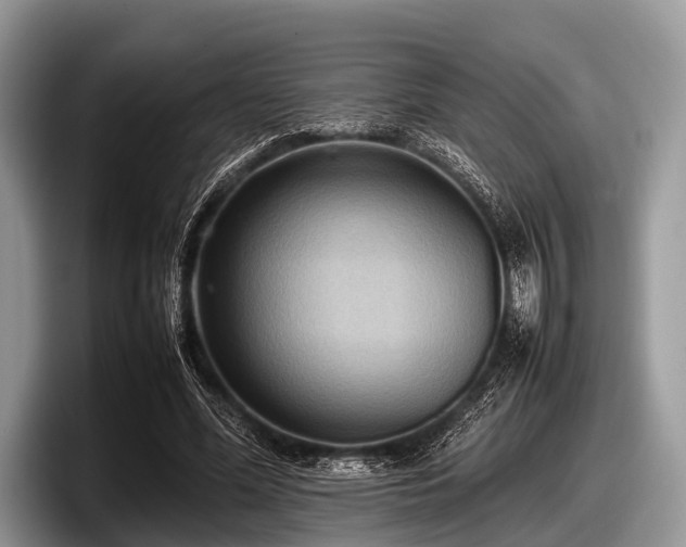 X0000097860588200803211256