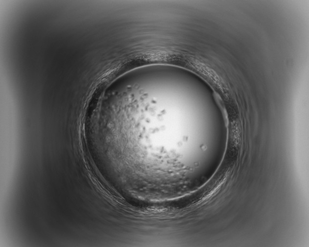 X0000097860589200803211256