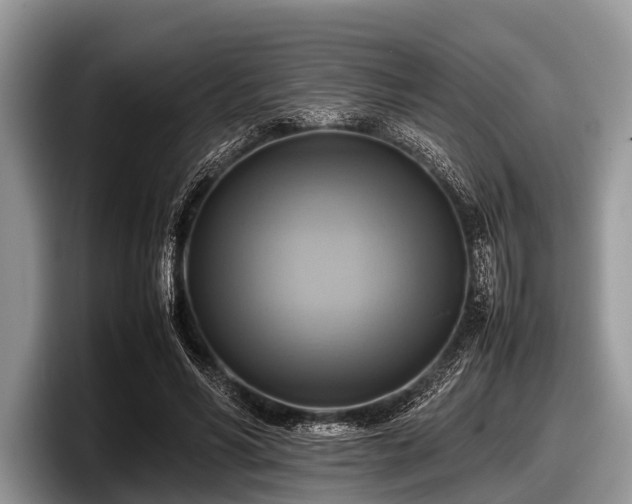 X0000097860590200803211256