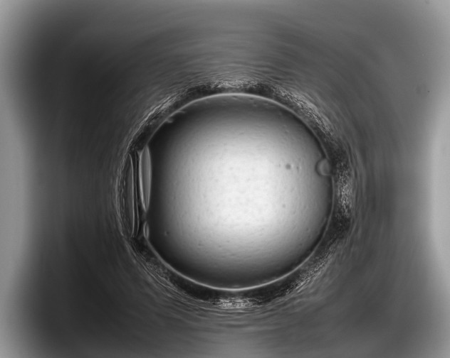 X0000097860591200803211256