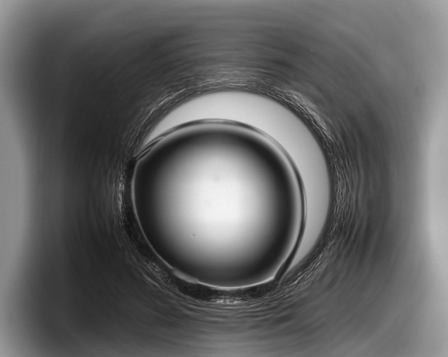 X0000097860596200803211256