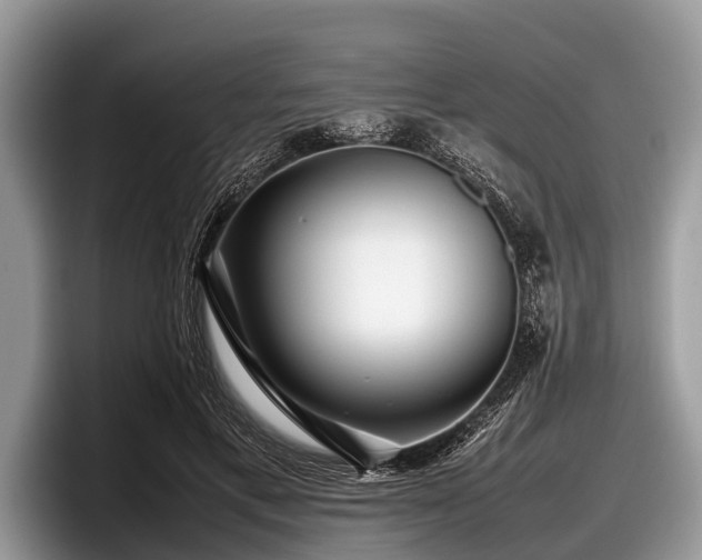 X0000097860597200803211256