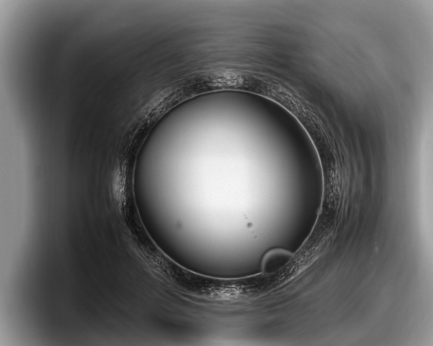 X0000097860600200803211256