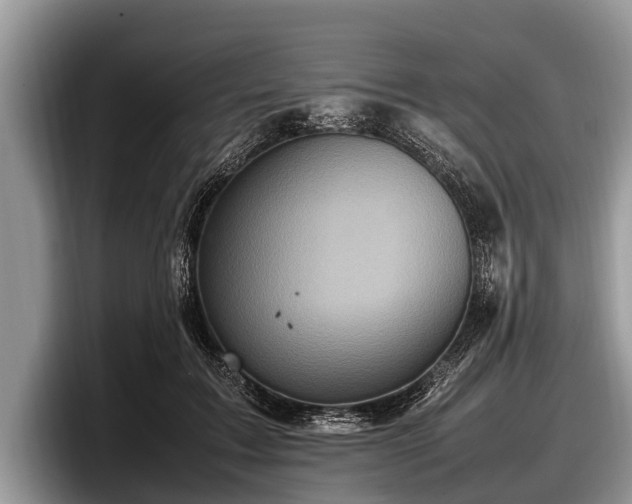 X0000097860603200803211256