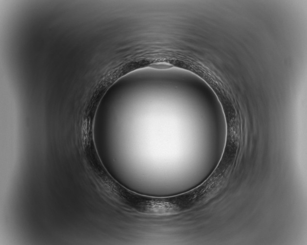 X0000097860605200803211256