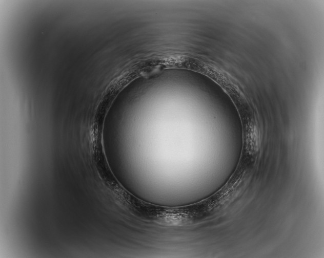 X0000097860608200803211256