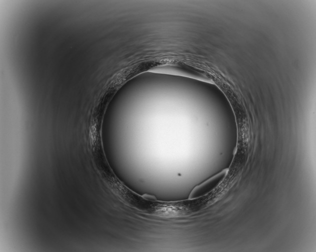 X0000097860611200803211255