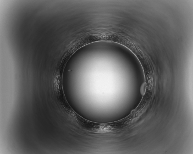 X0000097860612200803211255