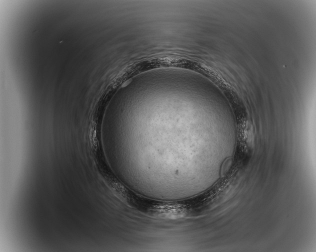 X0000097860615200803211255