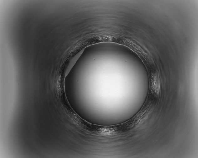 X0000097860616200803211255