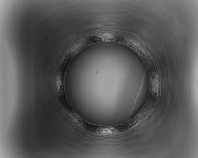 X0000097860618200803211255