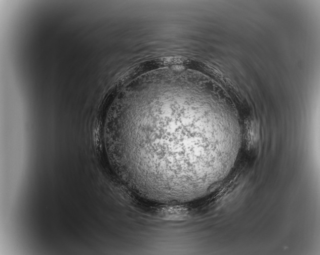 X0000097860619200803211255