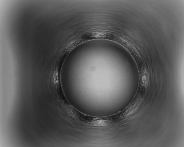 X0000097860620200803211255