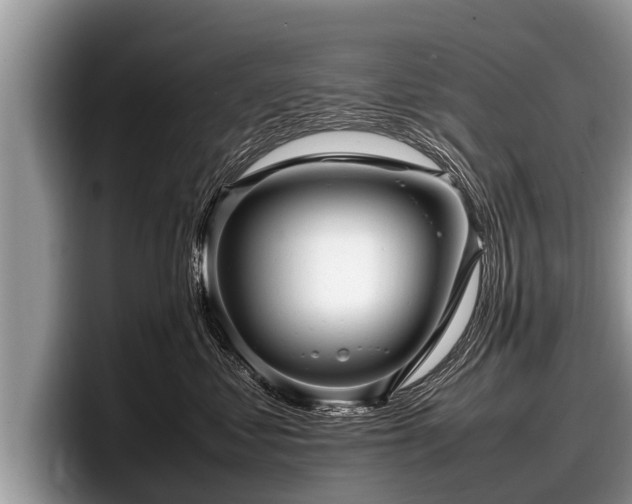 X0000097860621200803211255