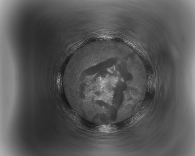 X0000097860623200803211255