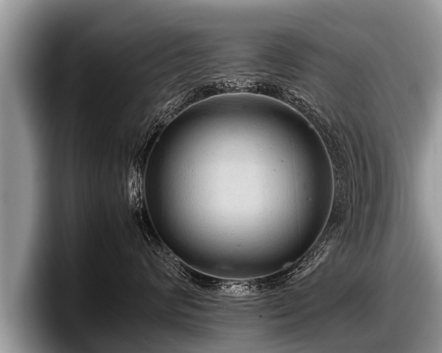 X0000097860624200803211255