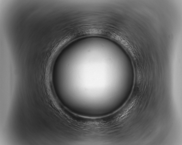 X0000097860625200803211255