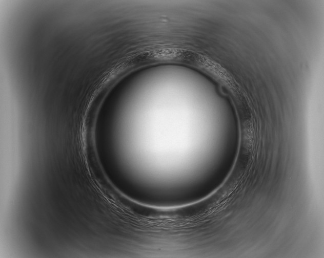 X0000097860626200803211255