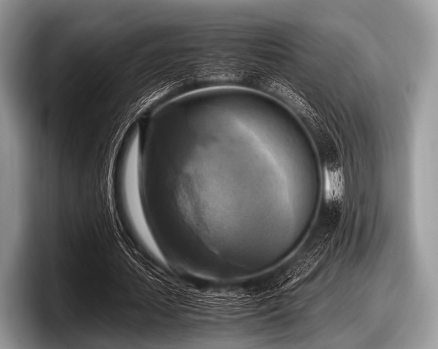 X0000097860627200803211255