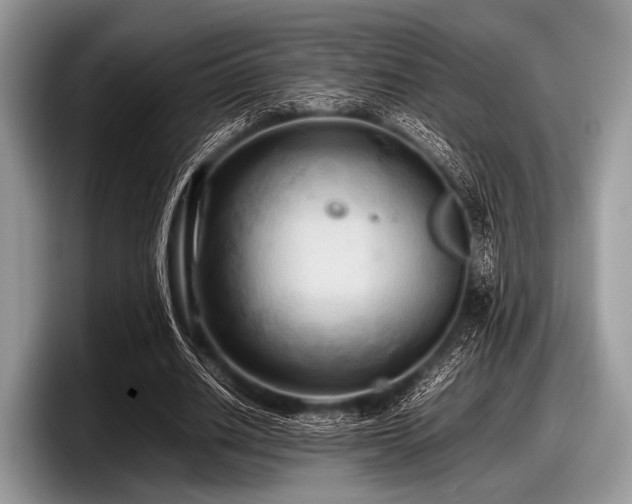 X0000097860630200803211255